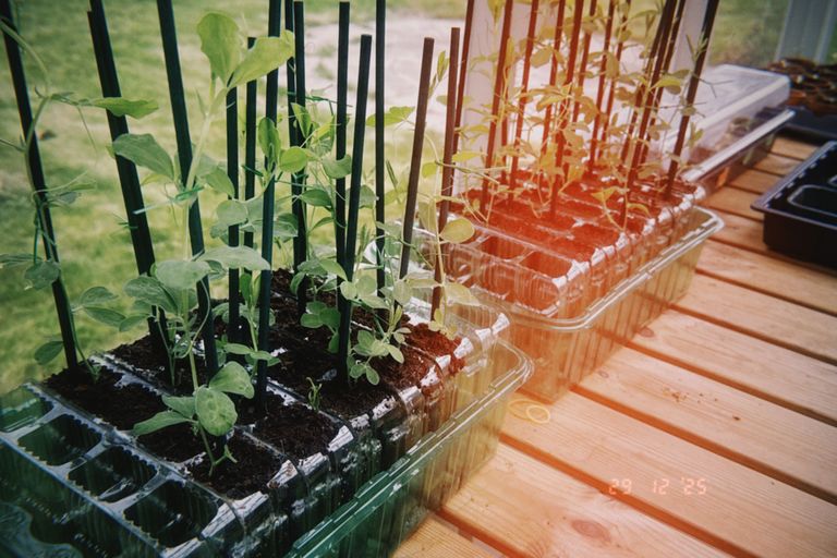 Artwork from project Studio and Life